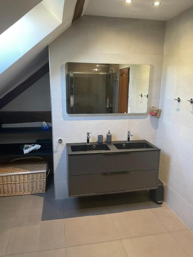 Le Logis Du Regisseur Bed and Breakfast Charny-Oree-de-Puisaye Εξωτερικό φωτογραφία